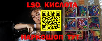прущие крисы Новозыбков