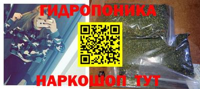 прущие крисы Новозыбков