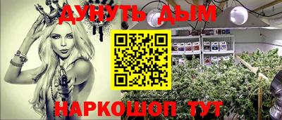 молекула духа Новокубанск