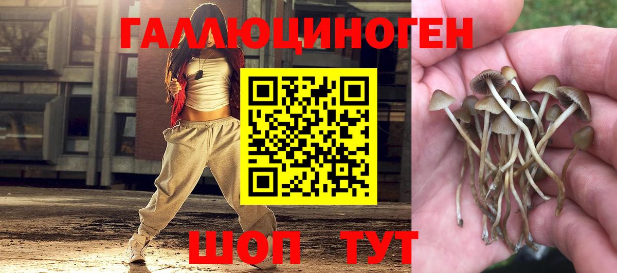 Псилоцибиновые грибы MAGIC MUSHROOMS Славянск-на-Кубани