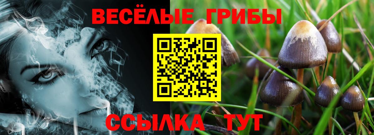 Галлюциногенные грибы MAGIC MUSHROOMS  Вход с VPN  Псилоцибиновые грибы ЛСД  Славянск-на-Кубани 